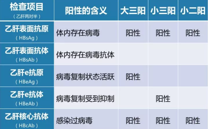 乙肝病毒攜帶者應該如何正確投保？