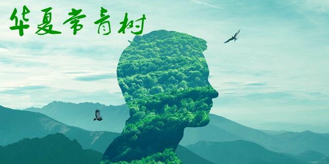 華夏長(cháng)青樹(shù)怎么樣 優(yōu)劣勢有哪些？